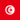 Tunisien